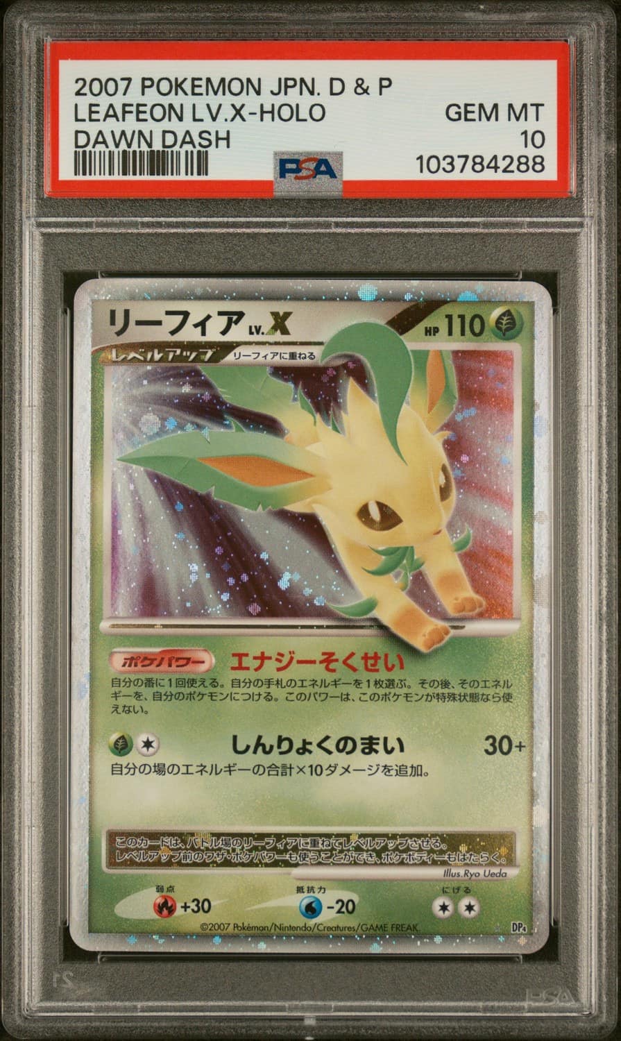 Leafeon Lv X