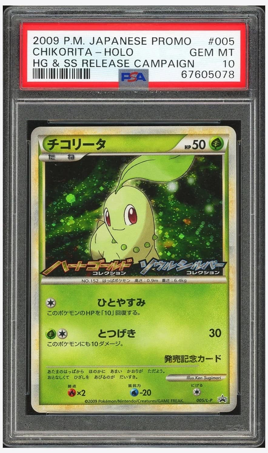 Chikorita