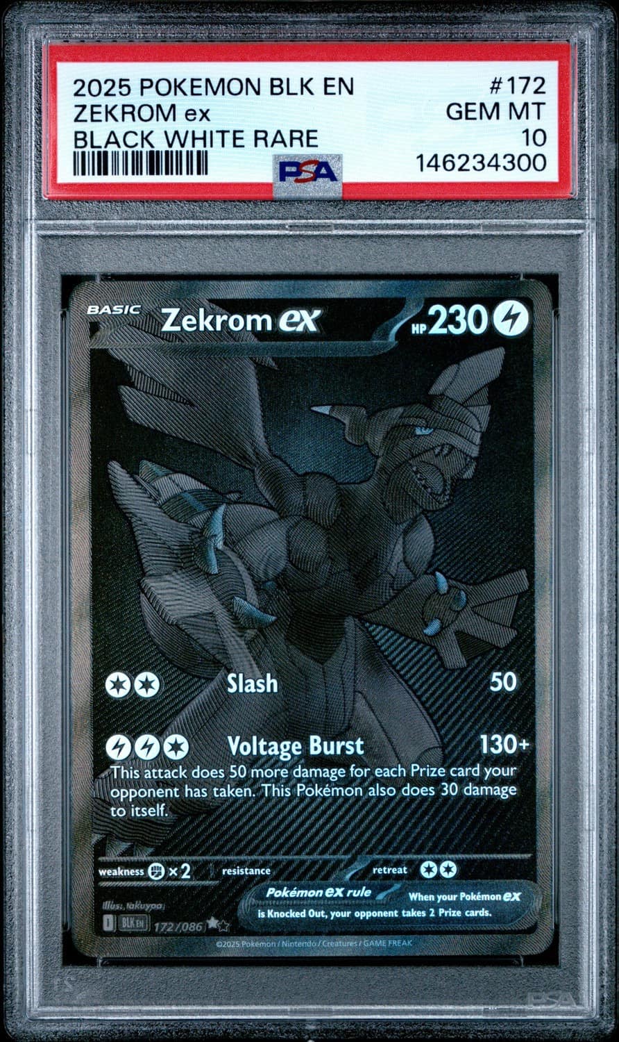 Zekrom Ex