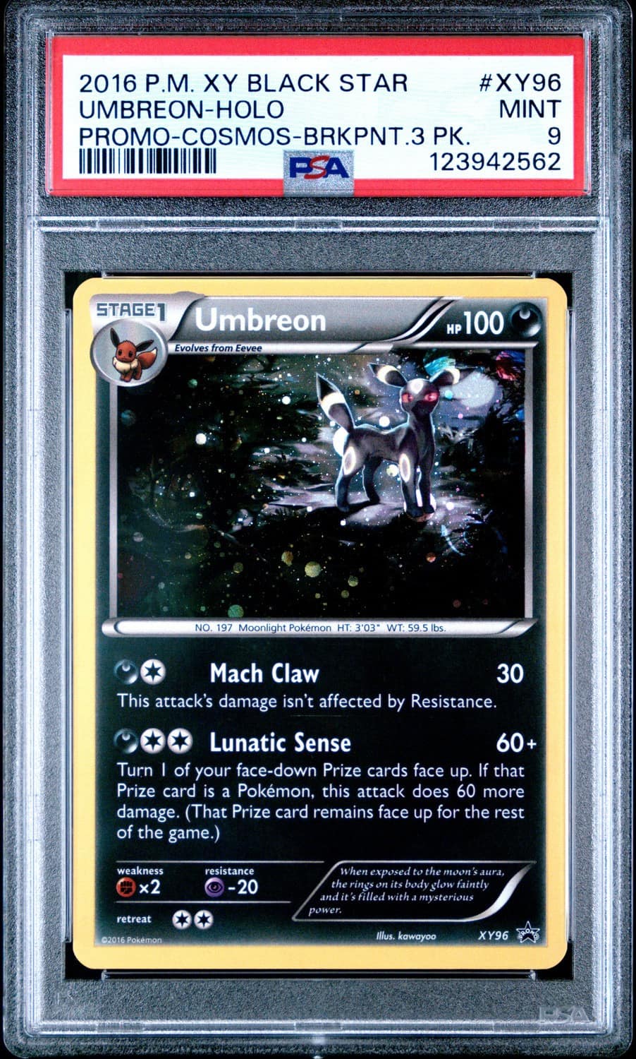 Umbreon