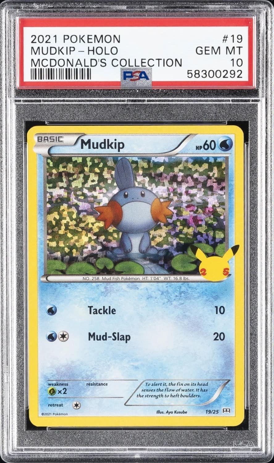 Mudkip