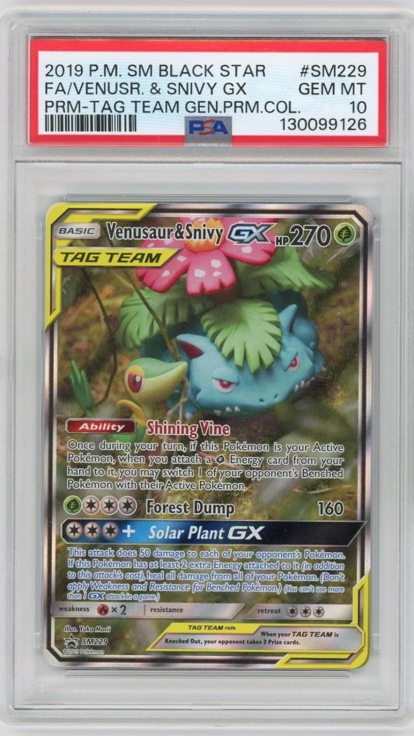 Venusaur & Snivy Gx