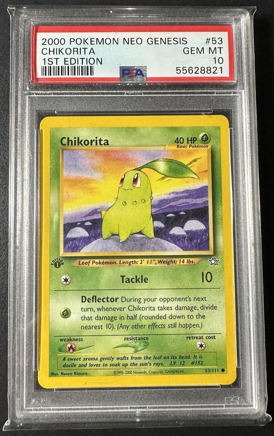 Chikorita