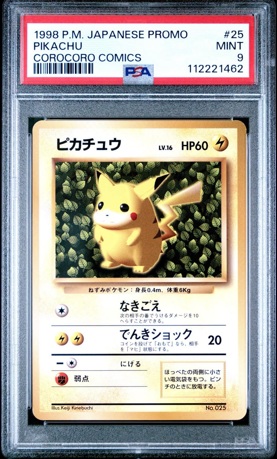 Ivy Pikachu