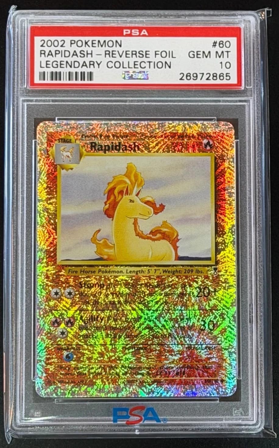 Rapidash