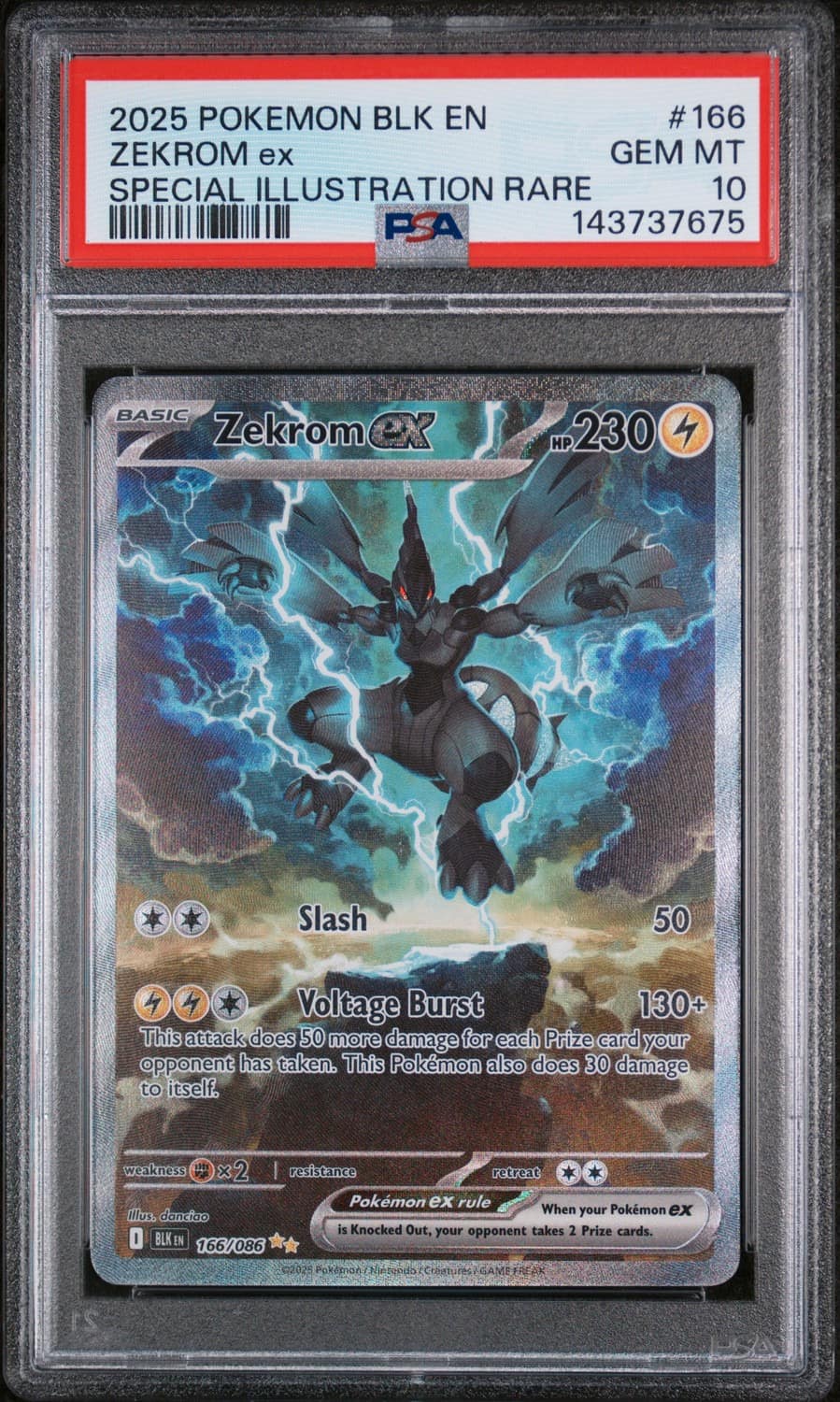 Zekrom Ex
