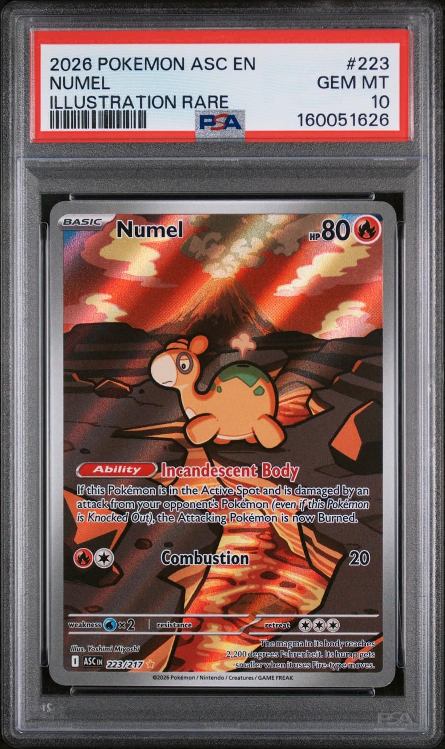 Numel