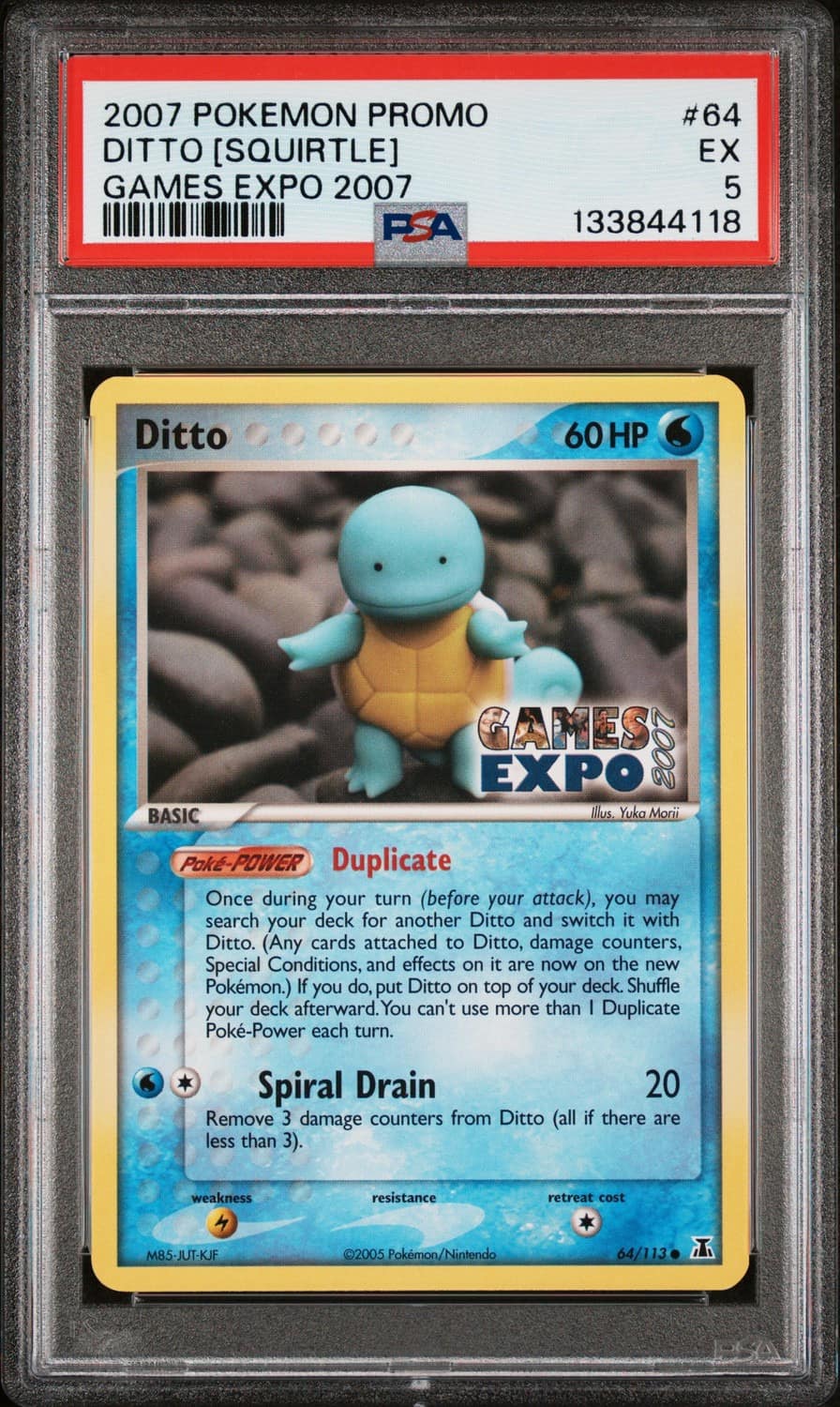 Ditto [squirtle]