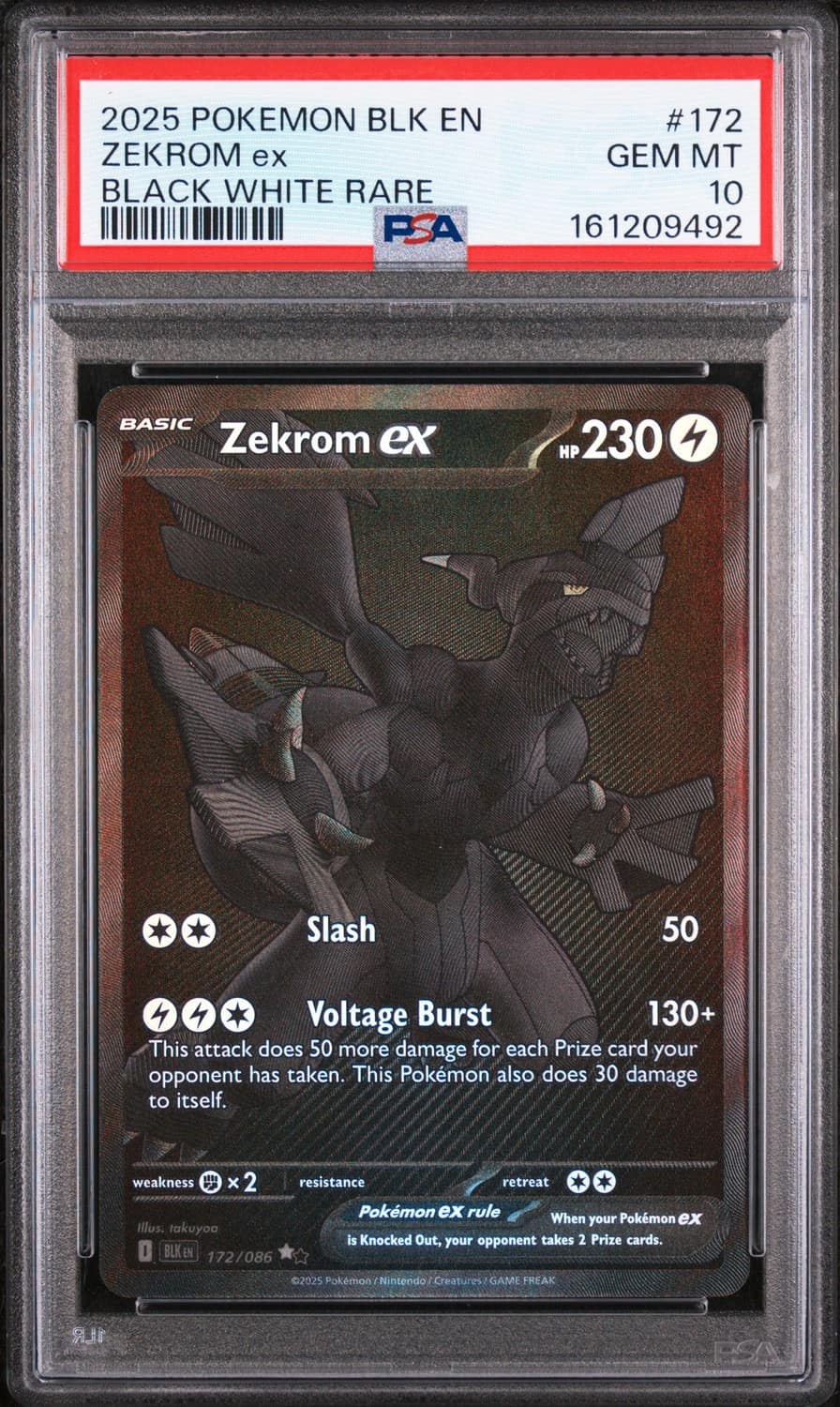 Zekrom Ex