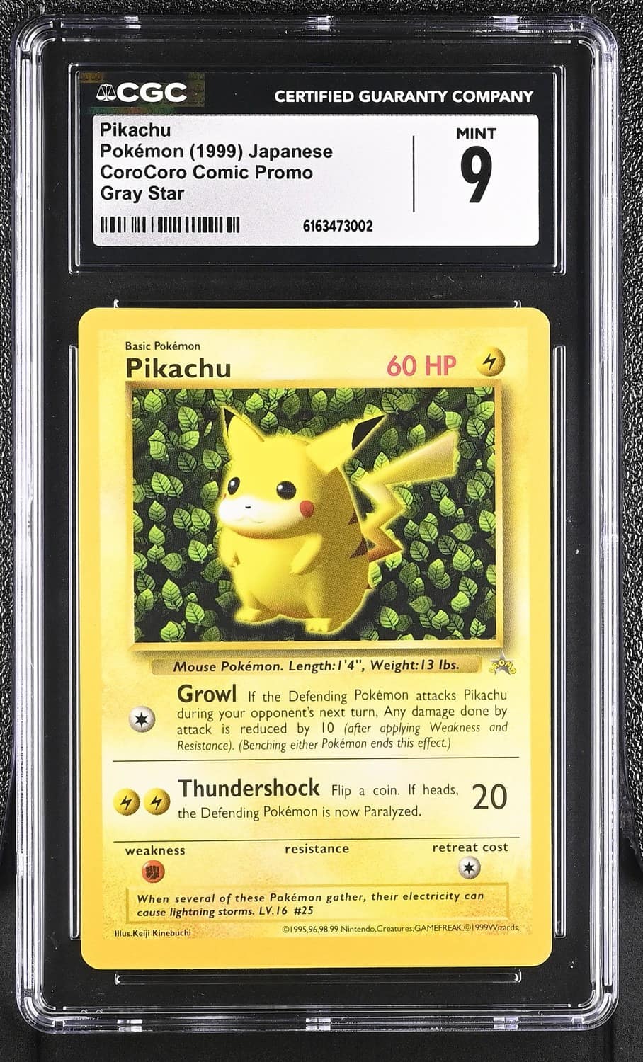 Ivy Pikachu