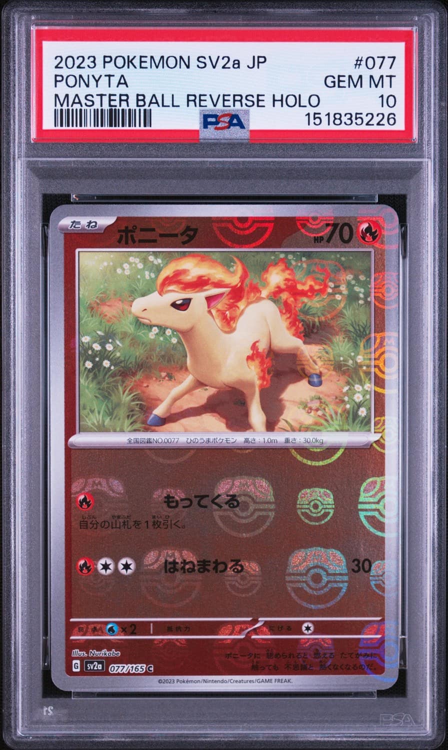 Ponyta