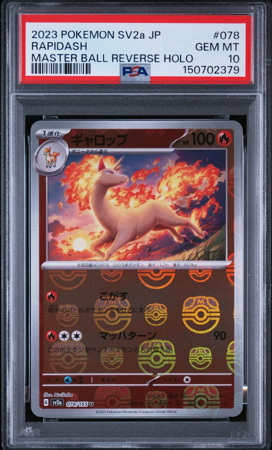 Rapidash