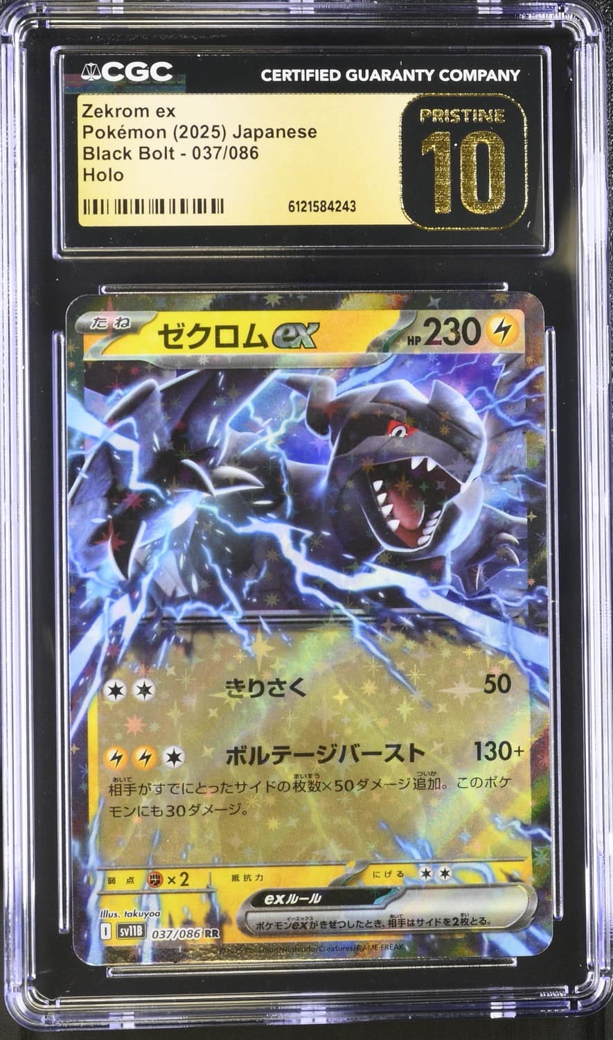 Zekrom Ex