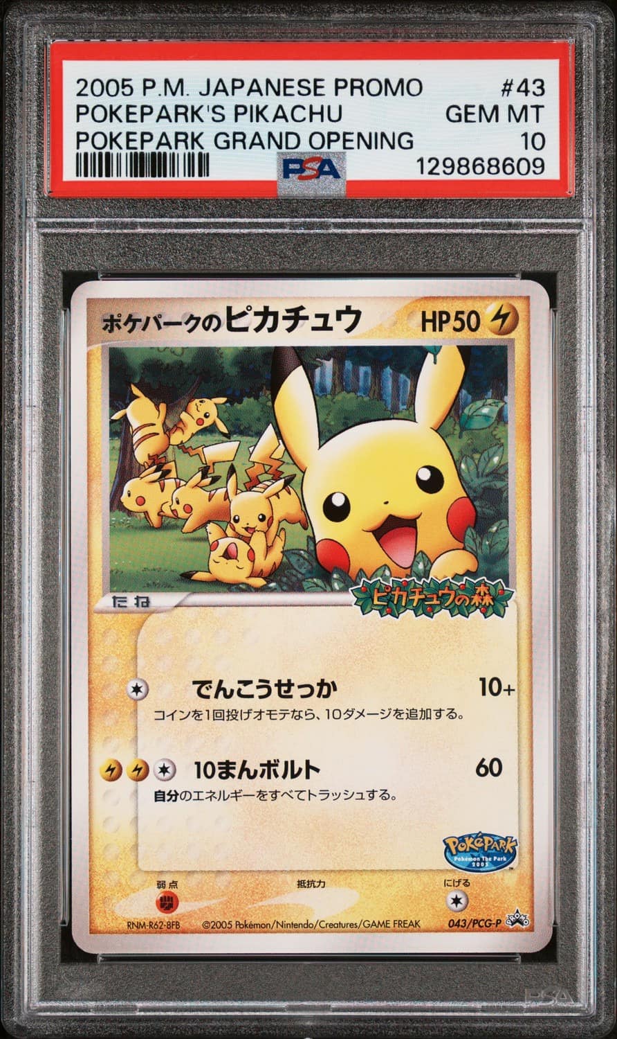 Pokepark'S Pikachu