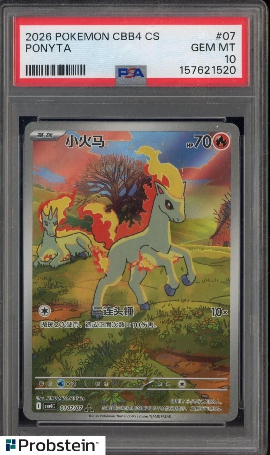 Ponyta