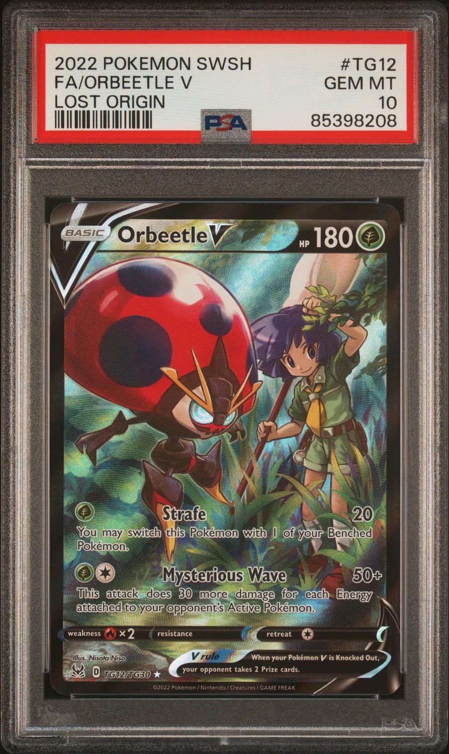Orbeetle V