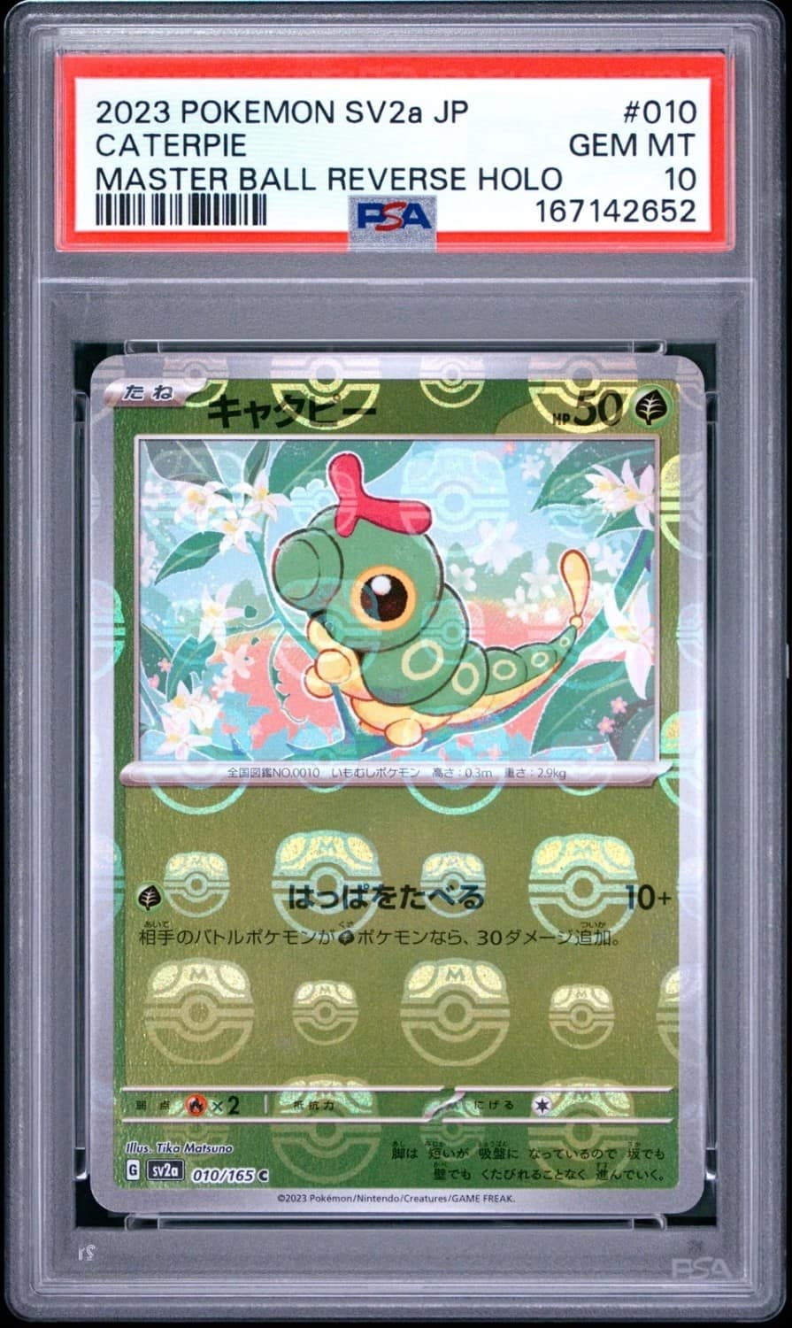 Caterpie