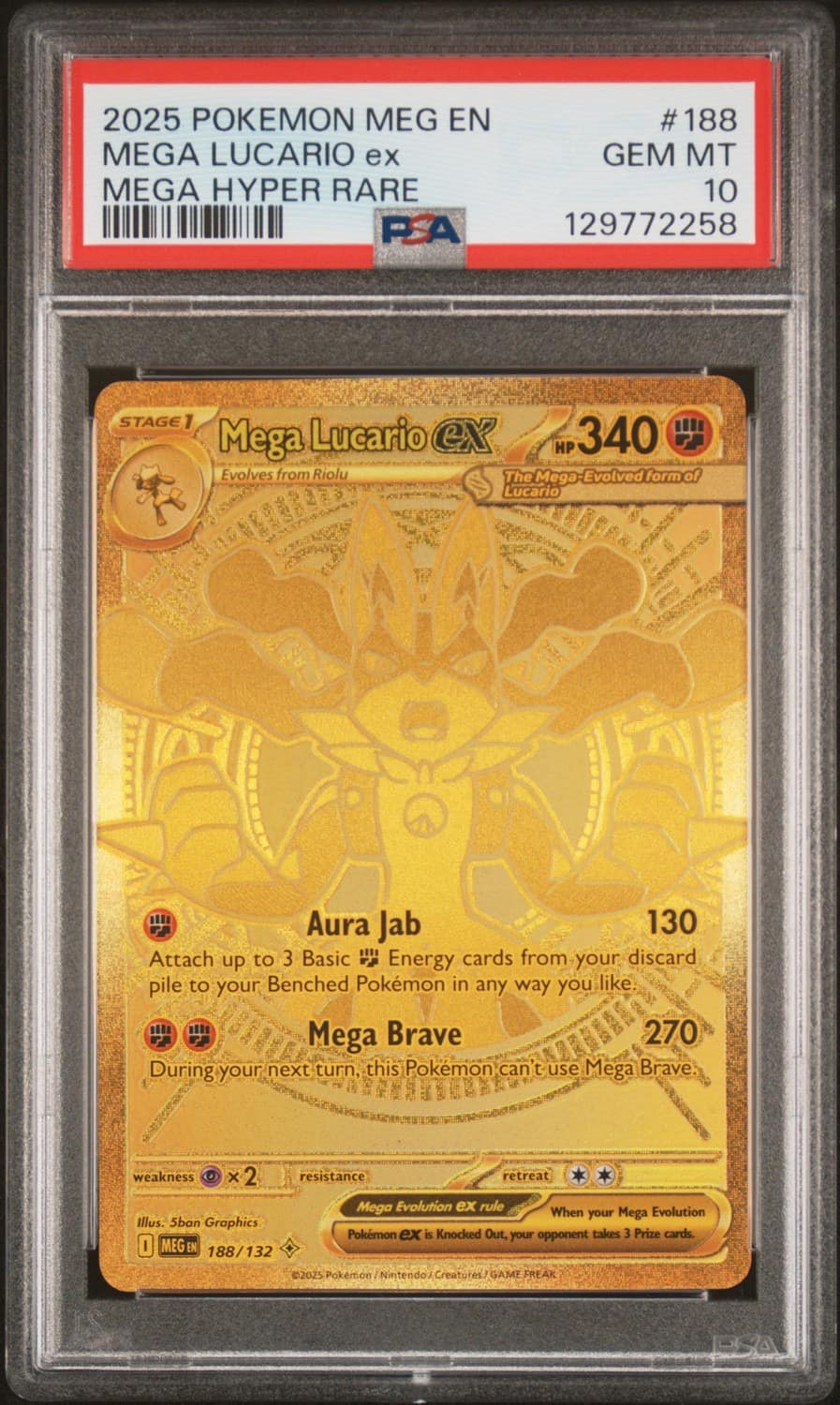 Mega Lucario Ex