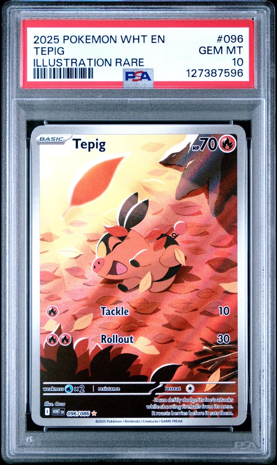 Tepig