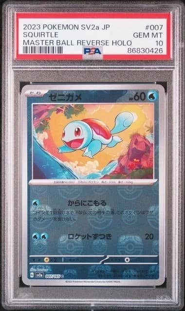 Squirtle