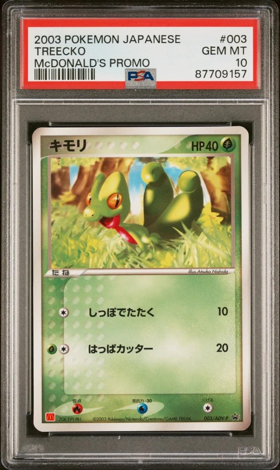 Treecko