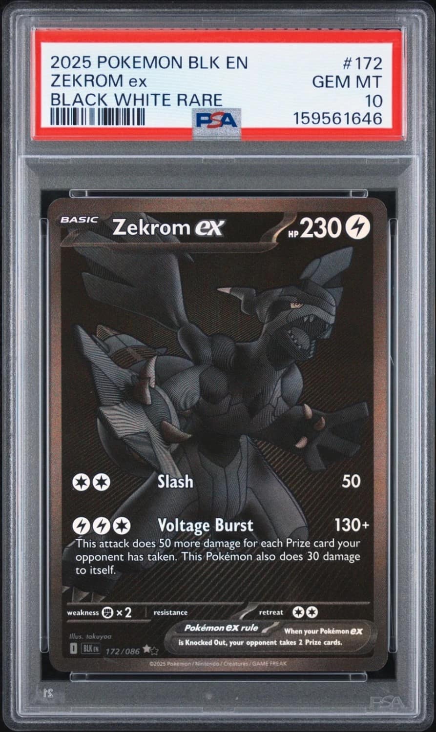 Zekrom Ex