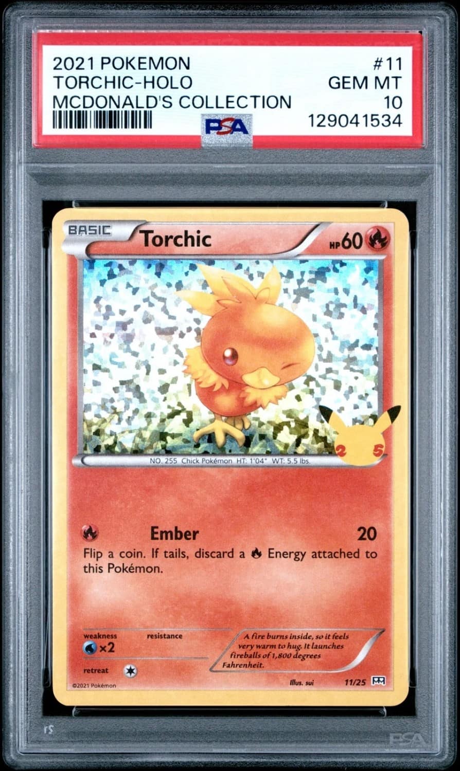 Torchic