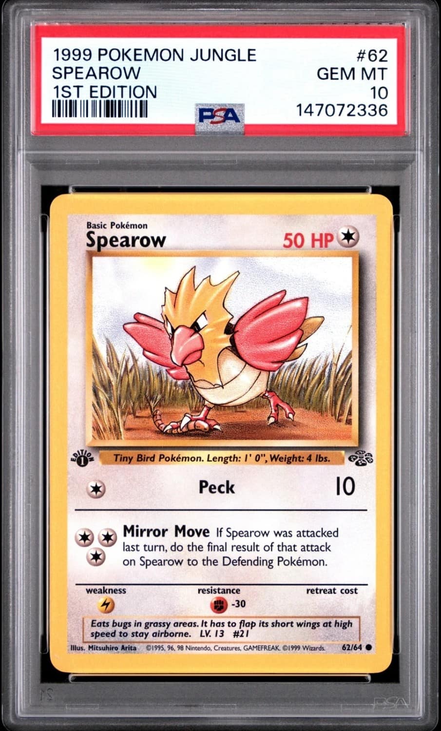 Spearow