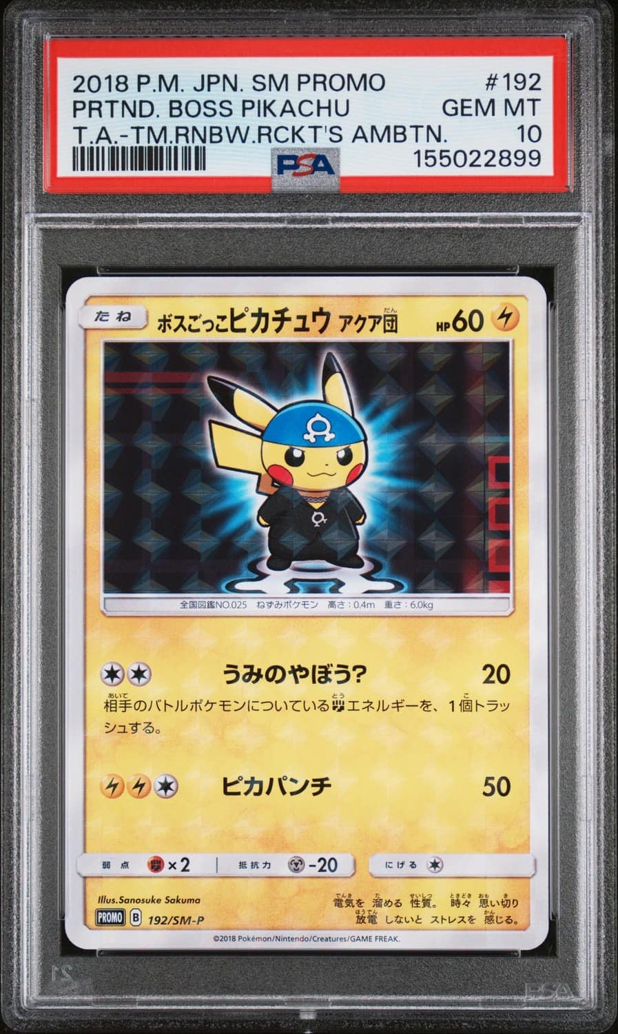 Pretend Boss Pikachu Team Aqua