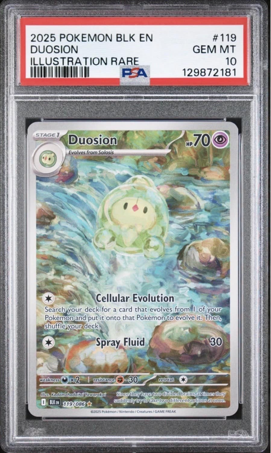 Duosion
