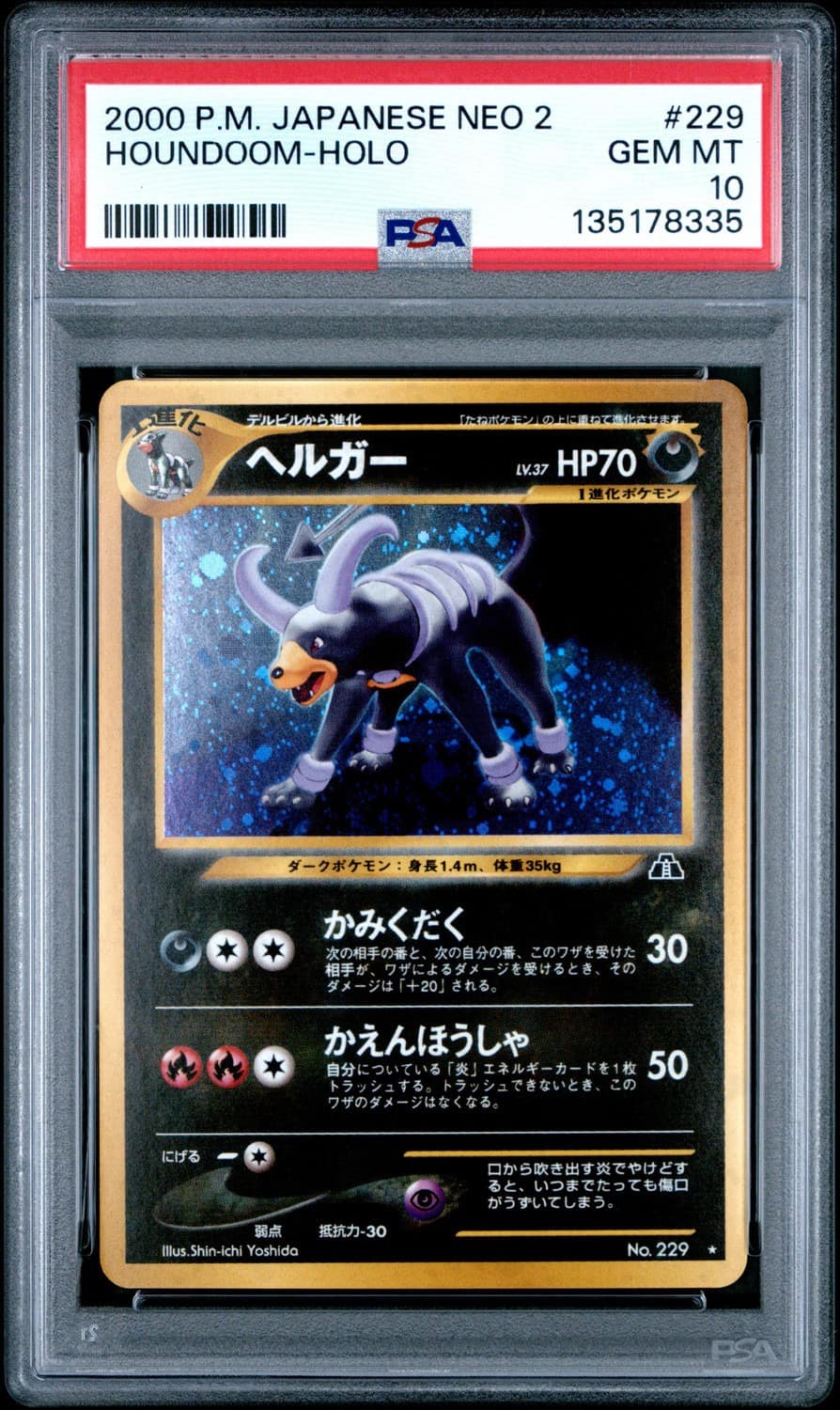 Houndoom