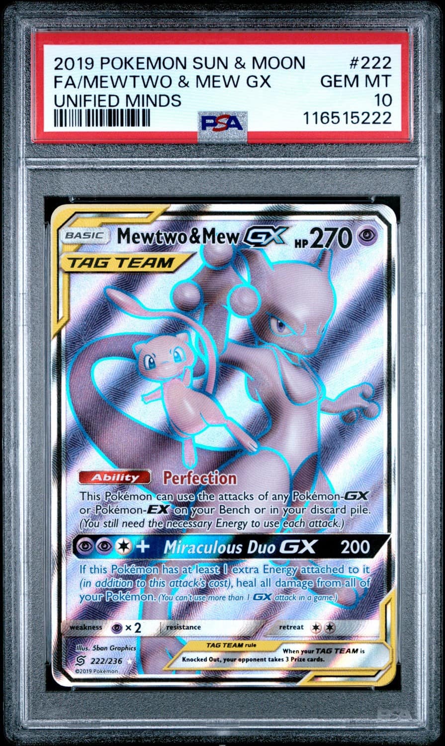 Mewtwo & Mew Gx