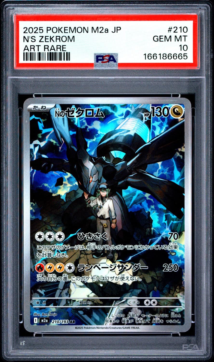 N'S Zekrom