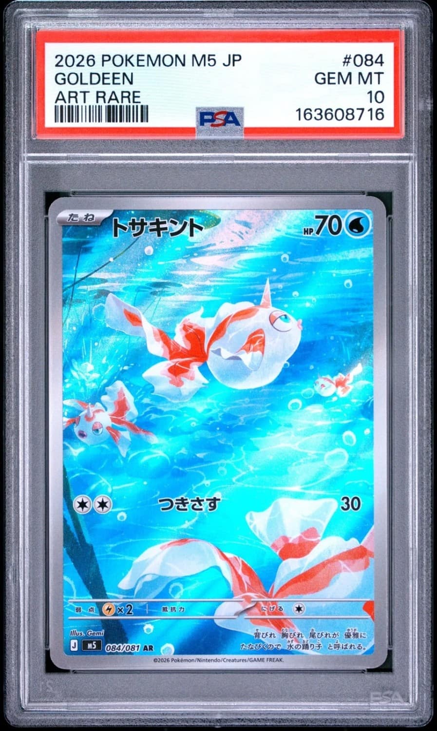 Goldeen