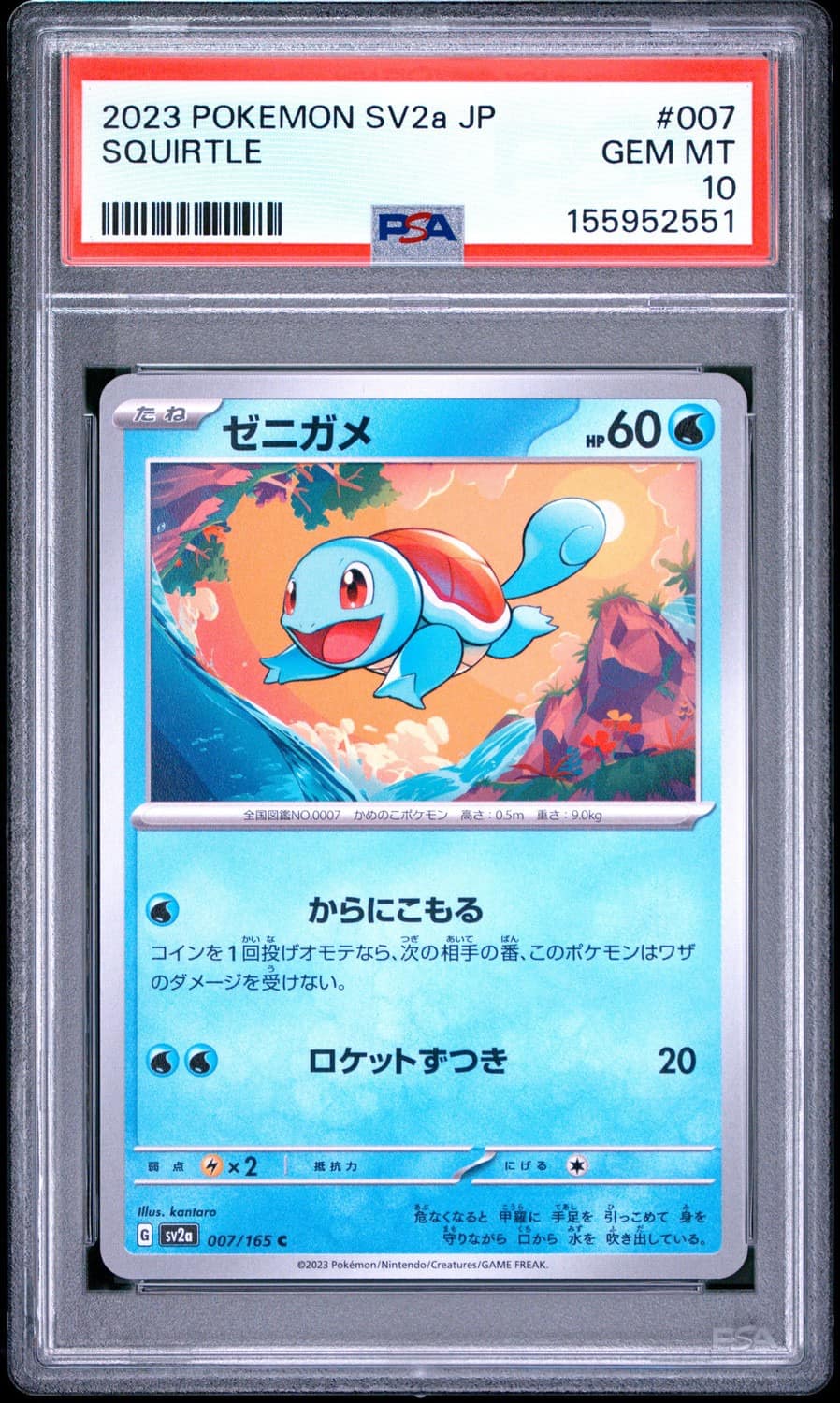 Squirtle