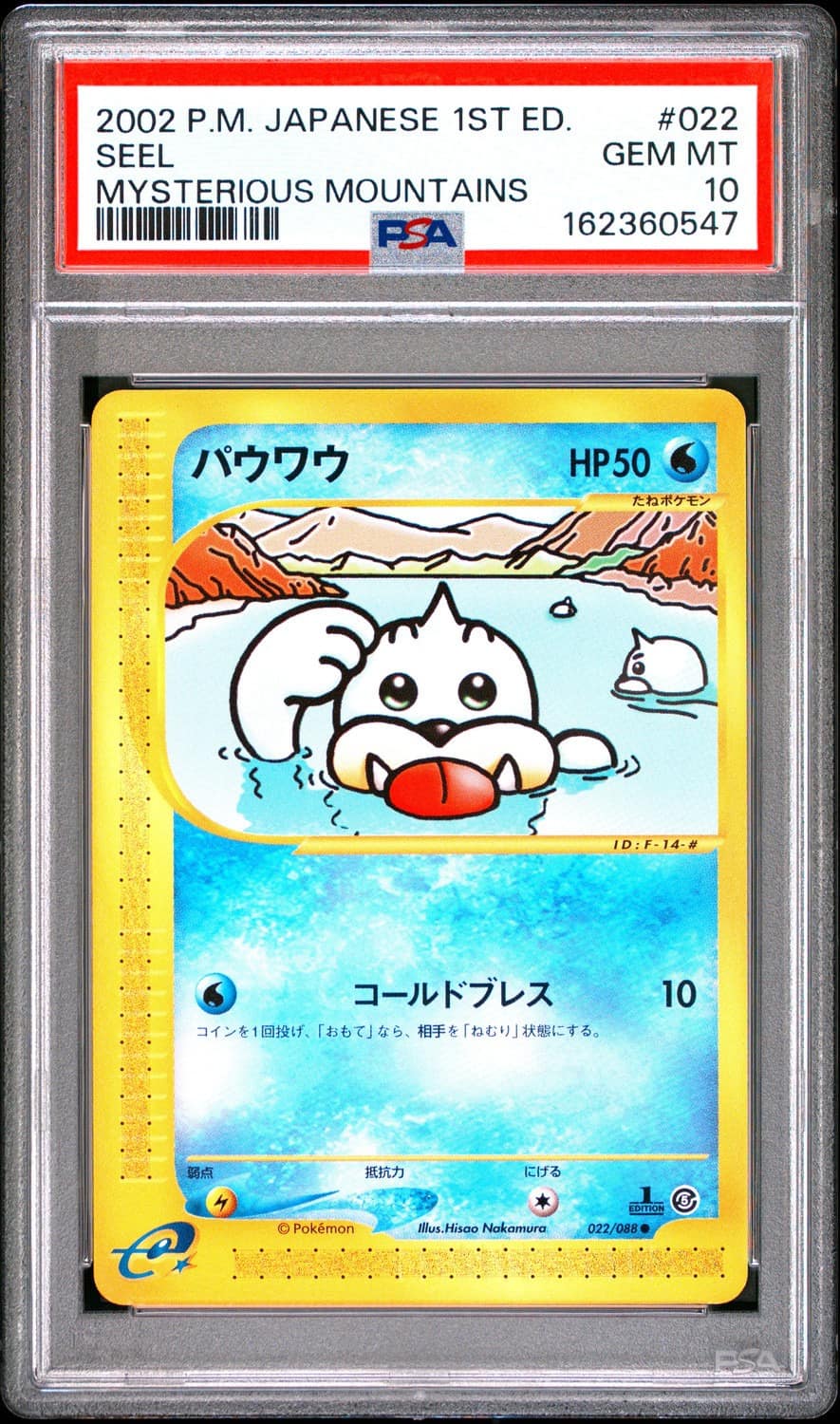 Seel