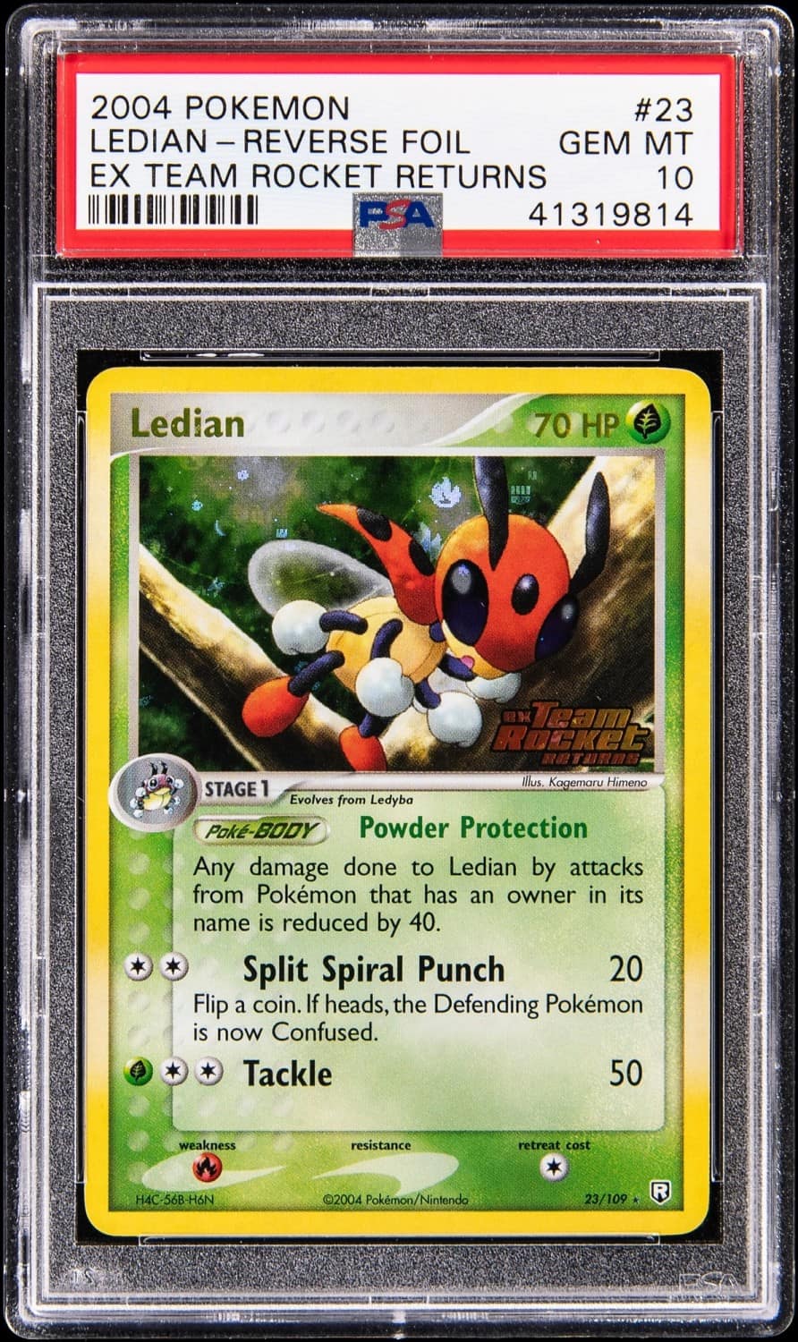 Ledian