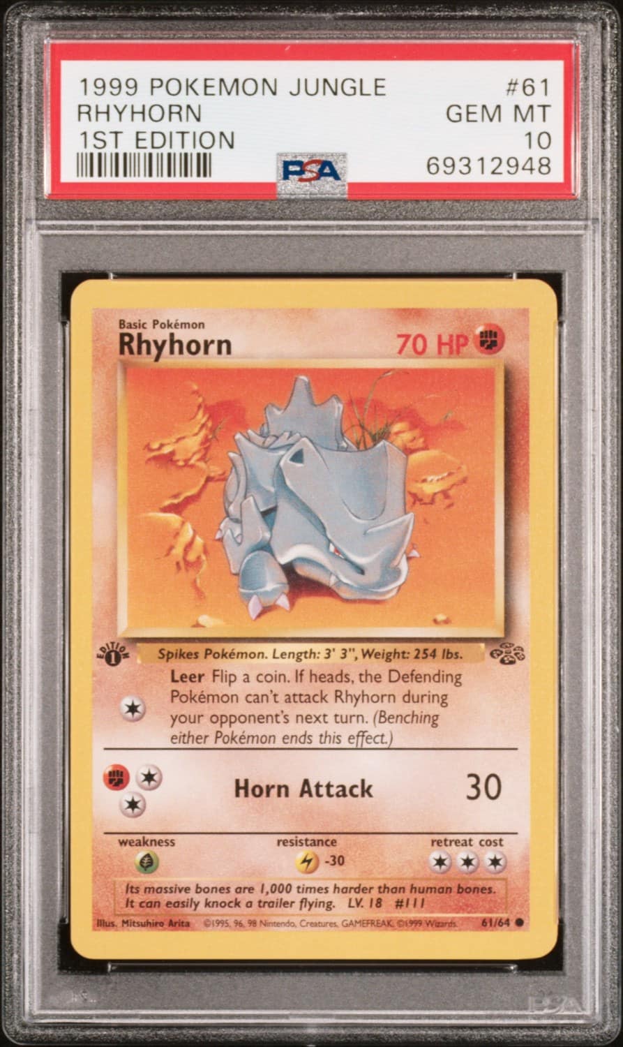 Rhyhorn