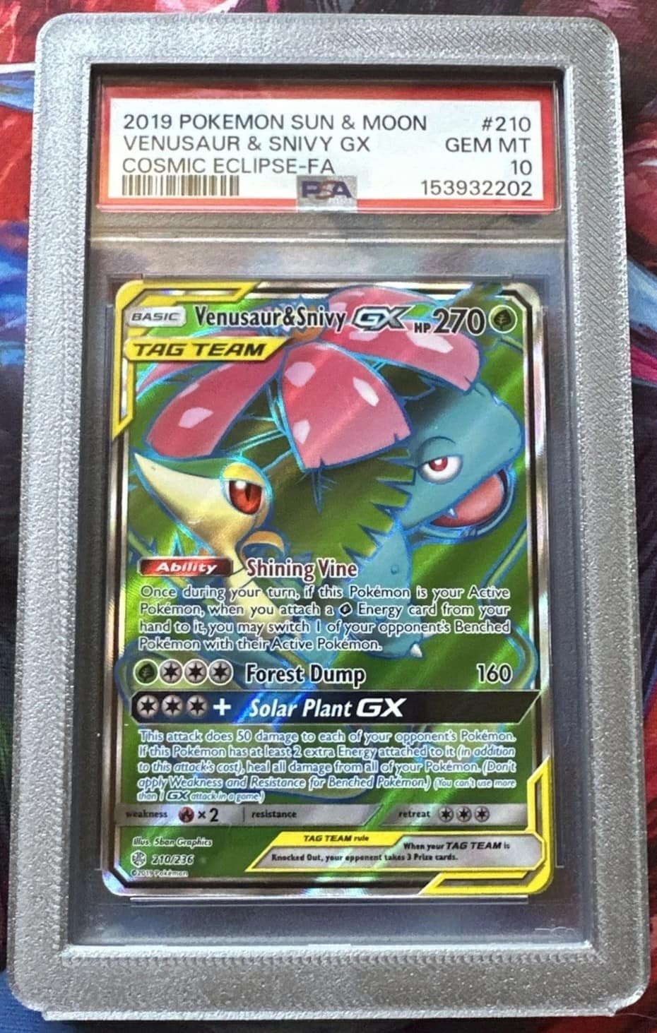 Venusaur & Snivy Gx