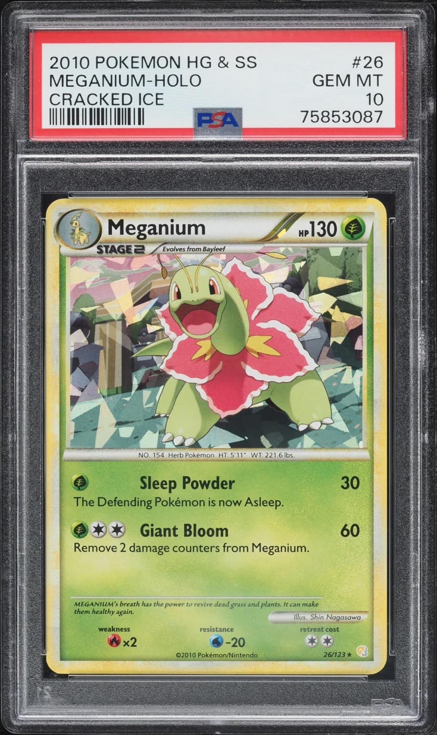 Meganium