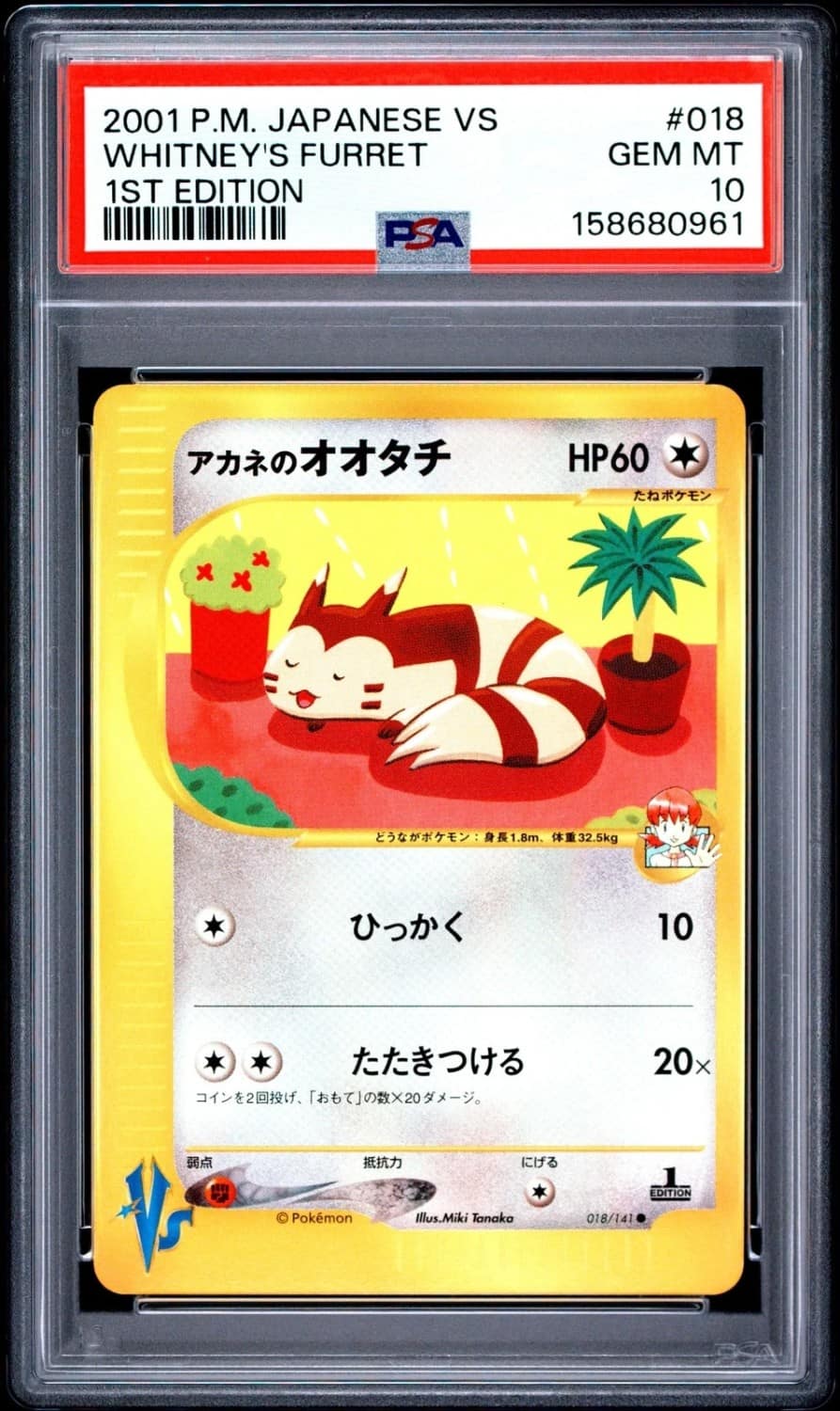 Whitney'S Furret
