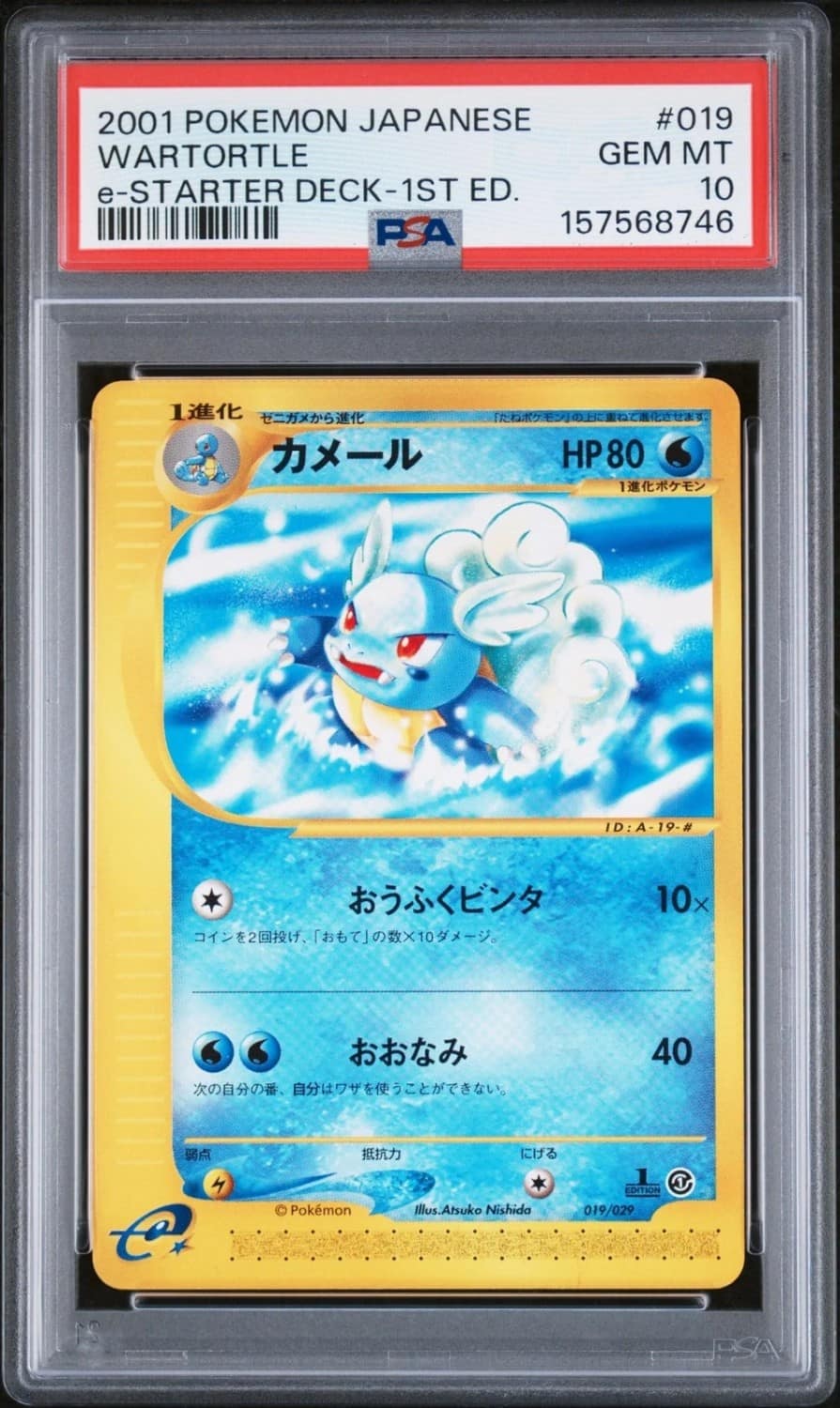 Wartortle