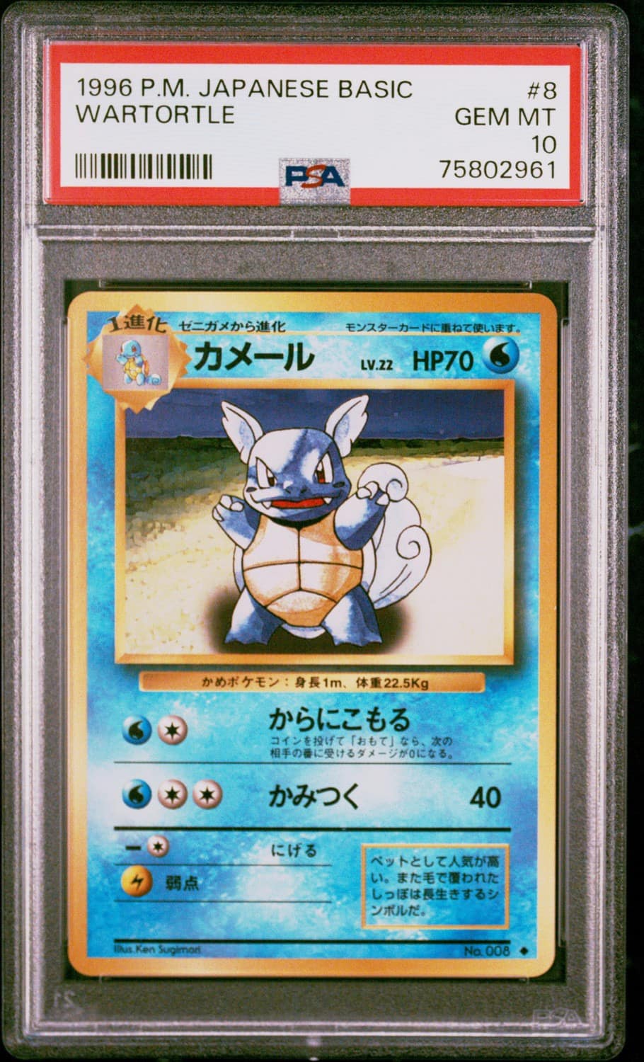 Wartortle