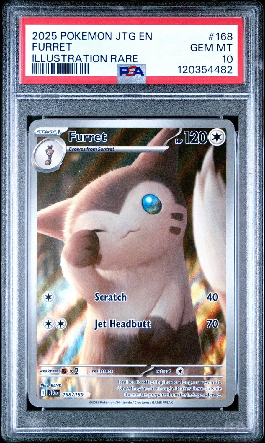 Furret