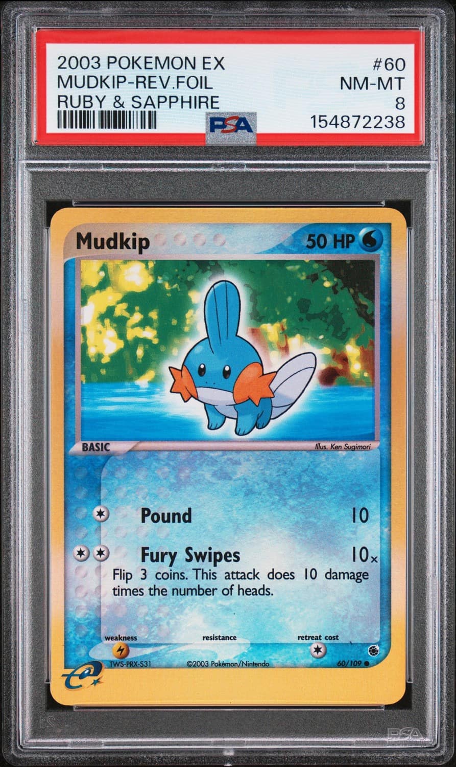 Mudkip