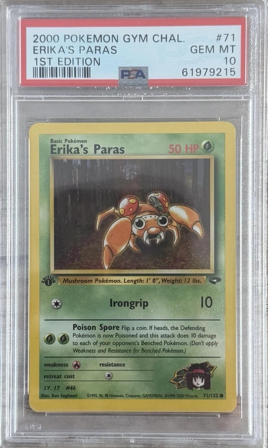 Erika'S Paras
