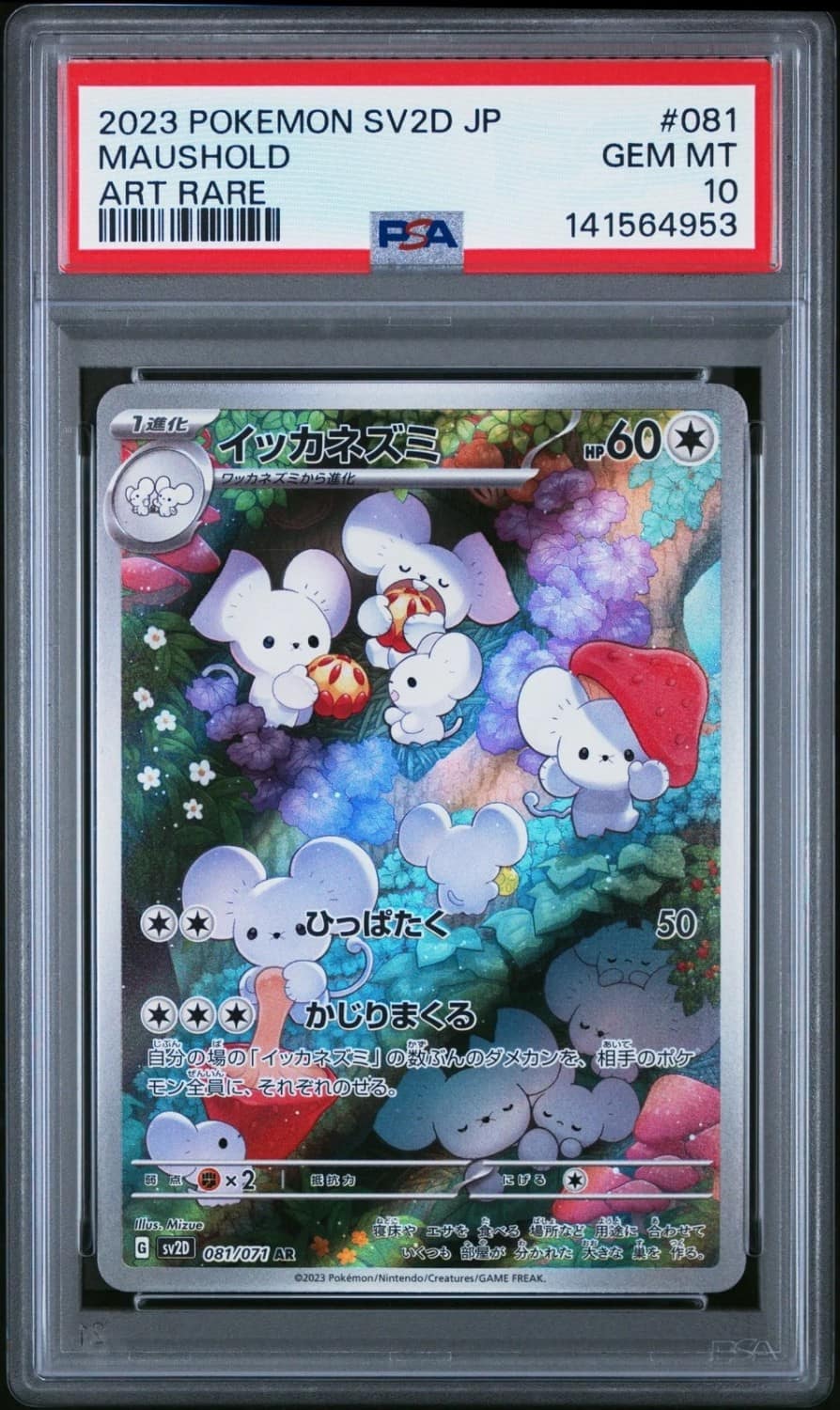 Maushold