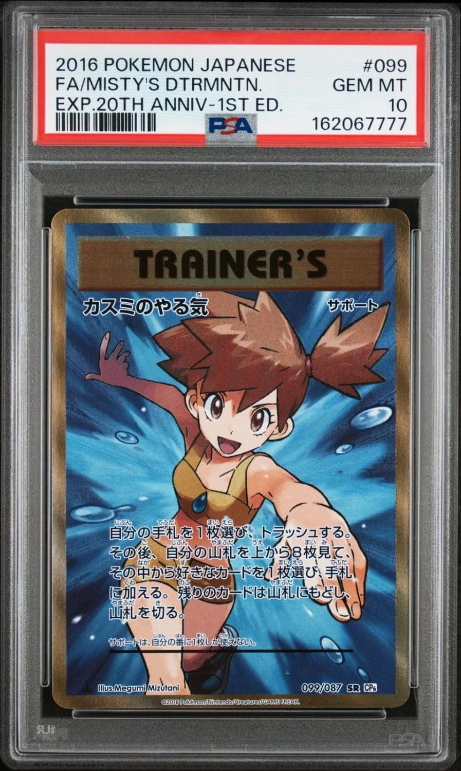 Misty'S Determination