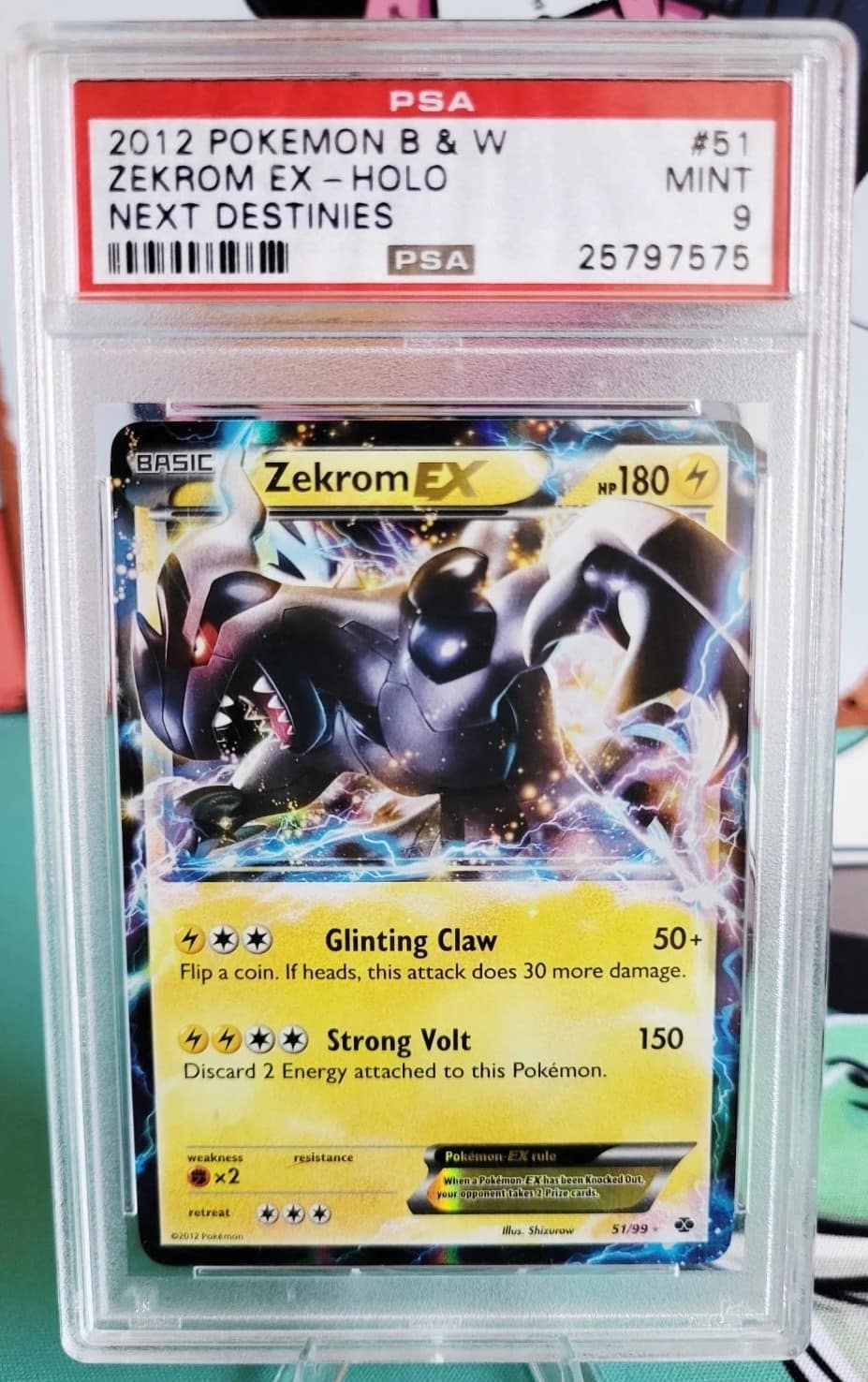Zekrom Ex