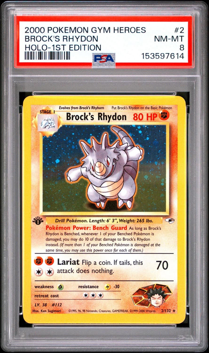 Brock'S Rhydon